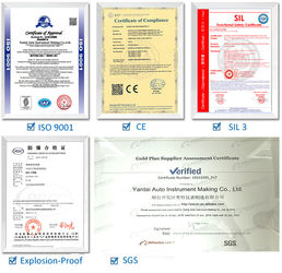 Yantai Auto Instrument Making Co.,Ltd