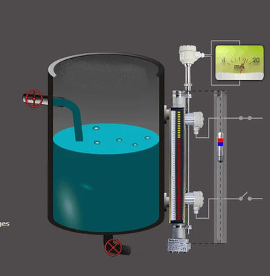Indicador de nivel magnético para el uso industrial Indicador de nivel magnético con flotador para tanque de combustible y material líquido proveedor
